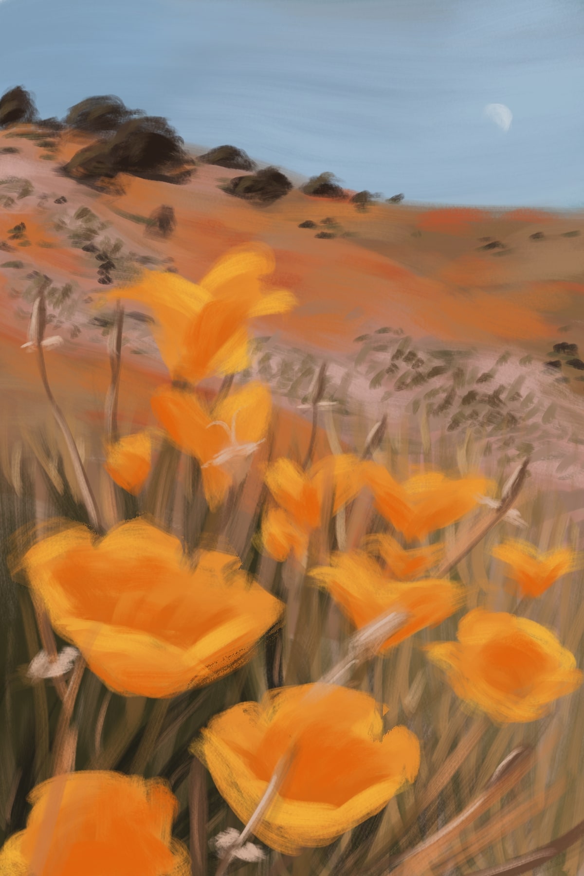 Digital illustration of golden poppies in front of a field