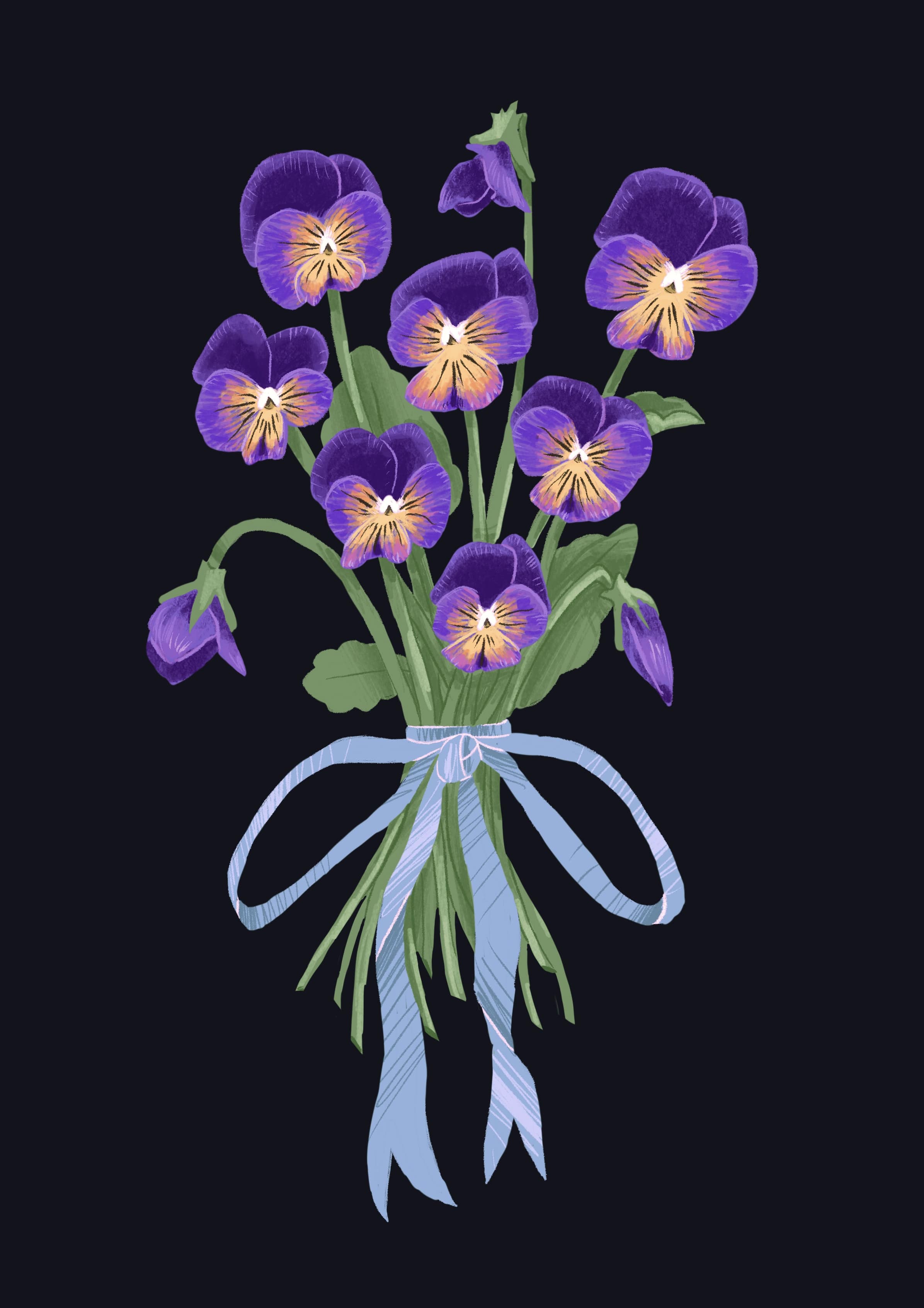 Digital illustration of violas tied with ribbon